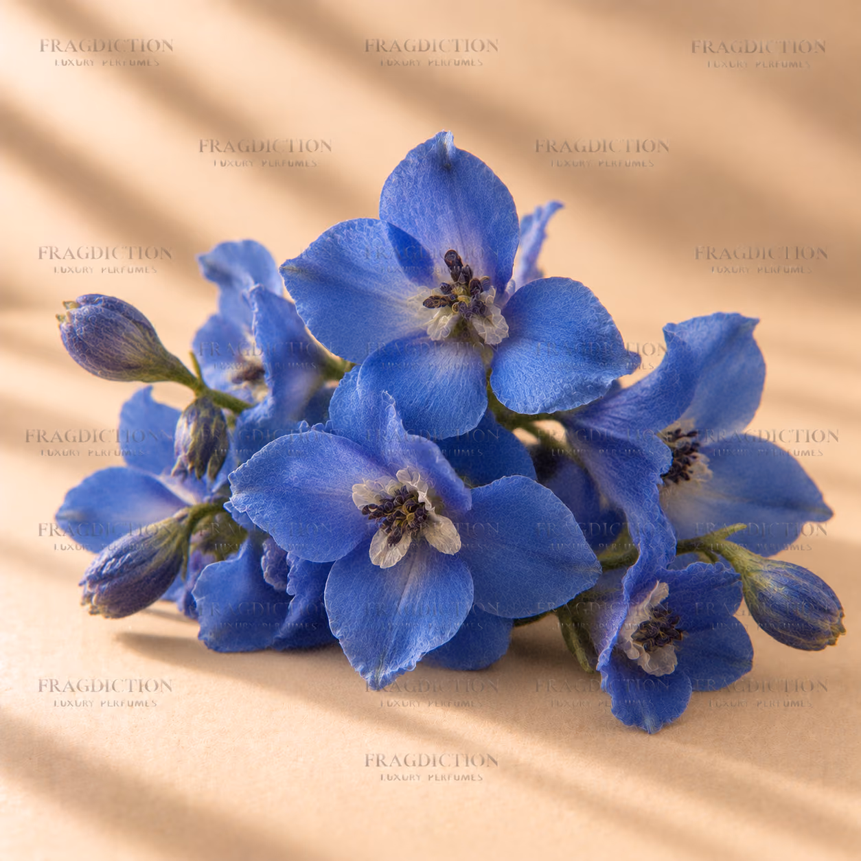 Blue blossoms