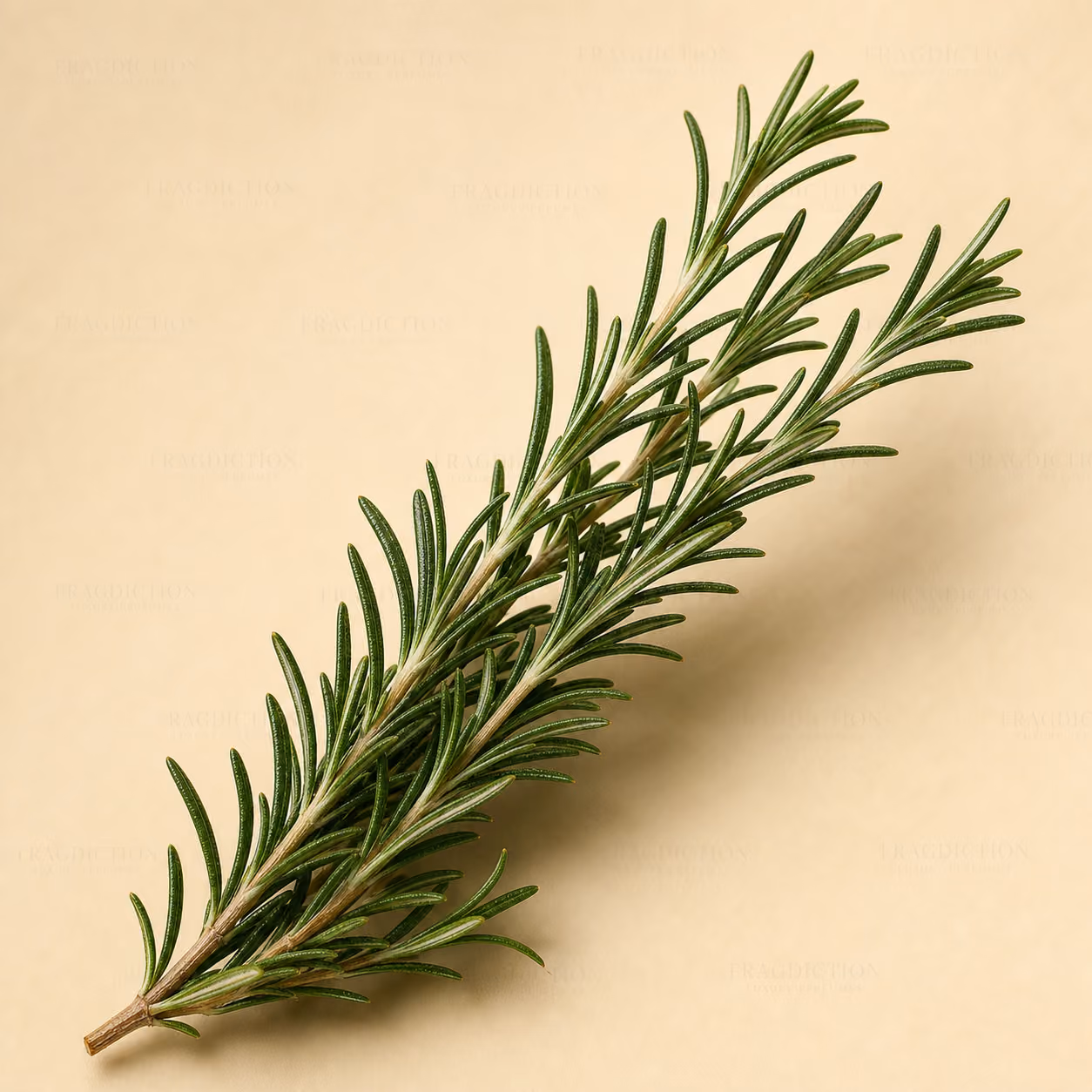 rosemary