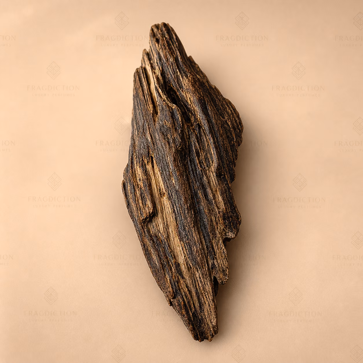 indian oud