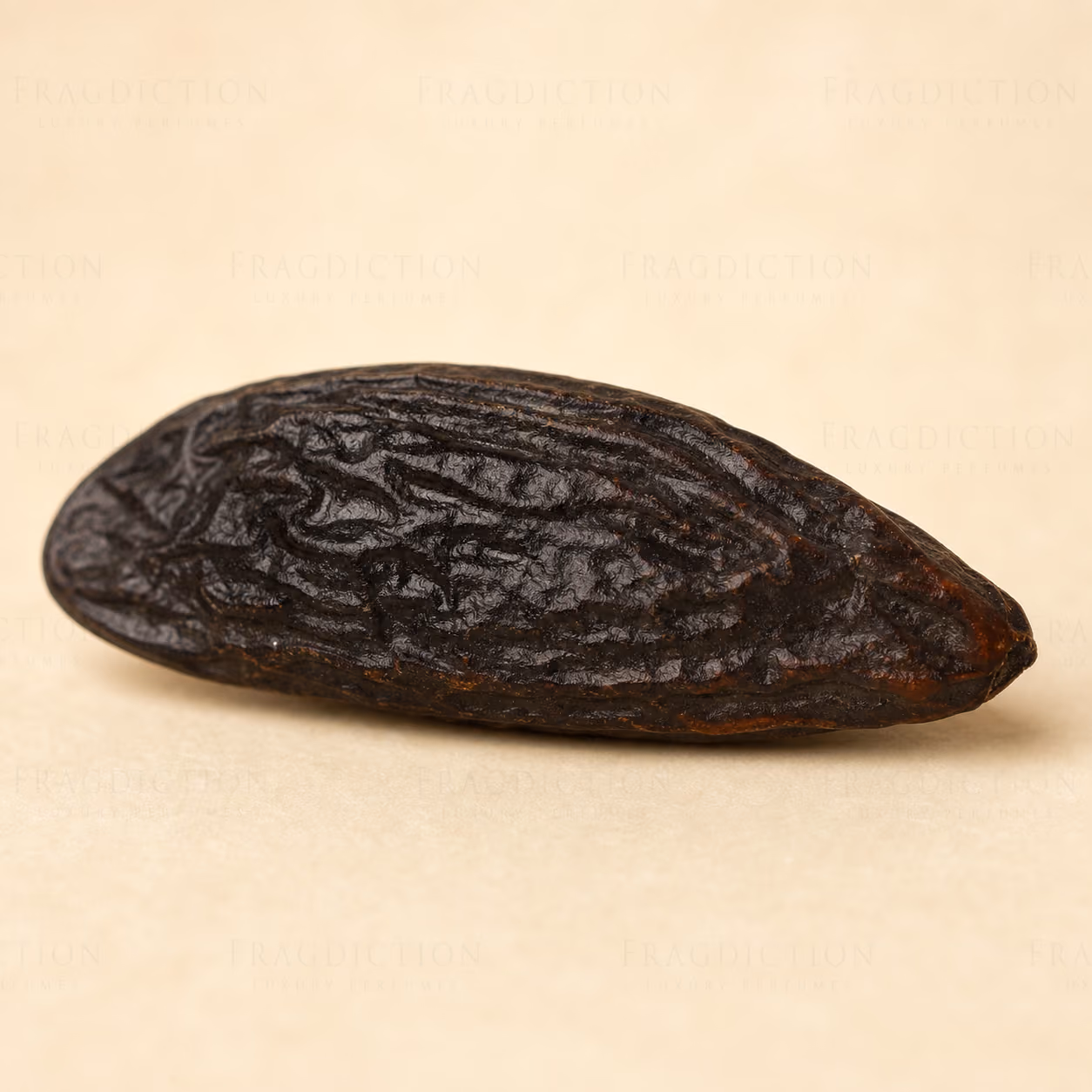 Venezuelan tonka bean