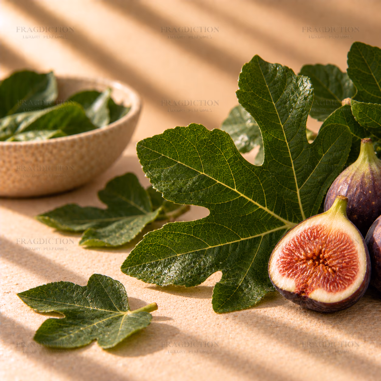 Fig Leaf