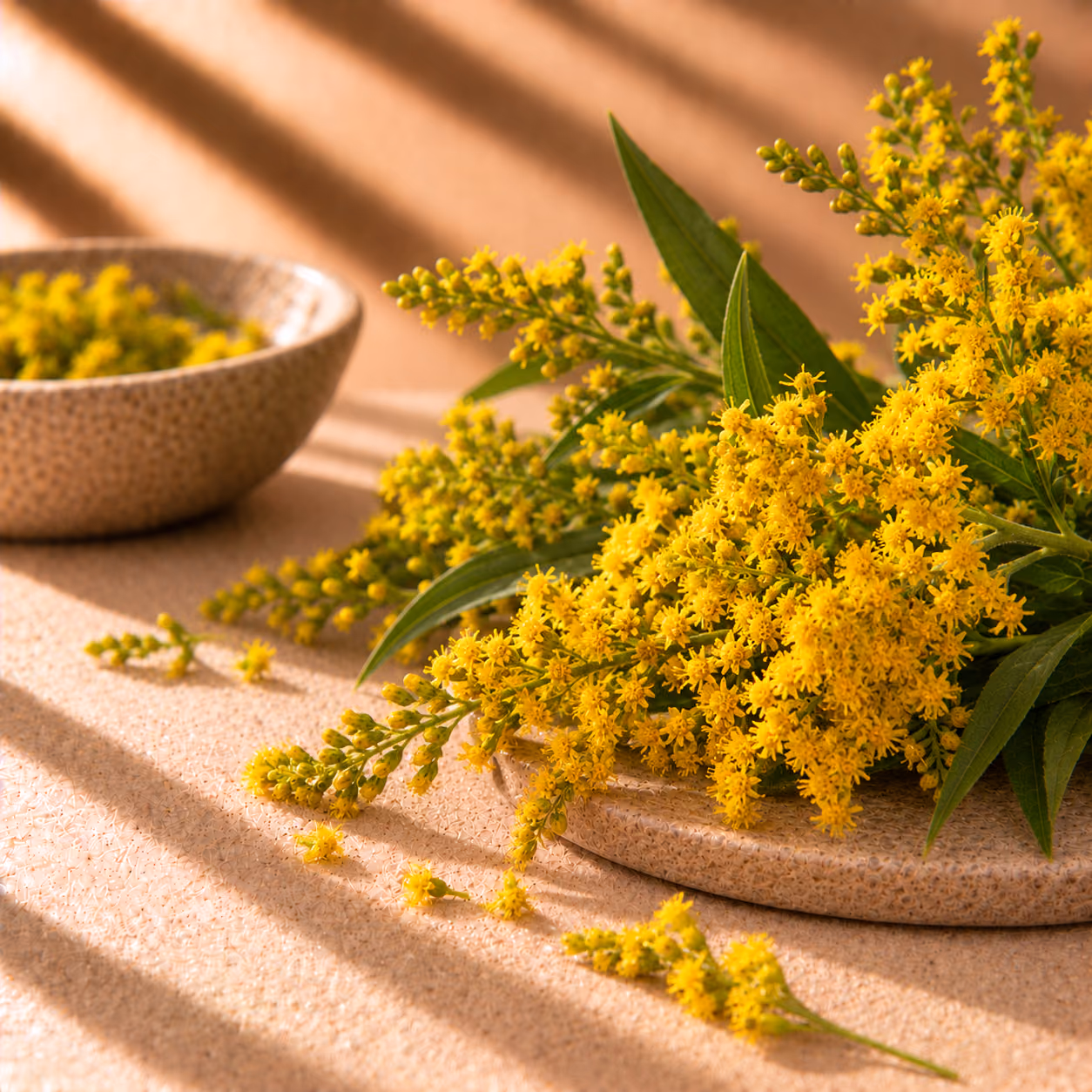 Goldenrod
