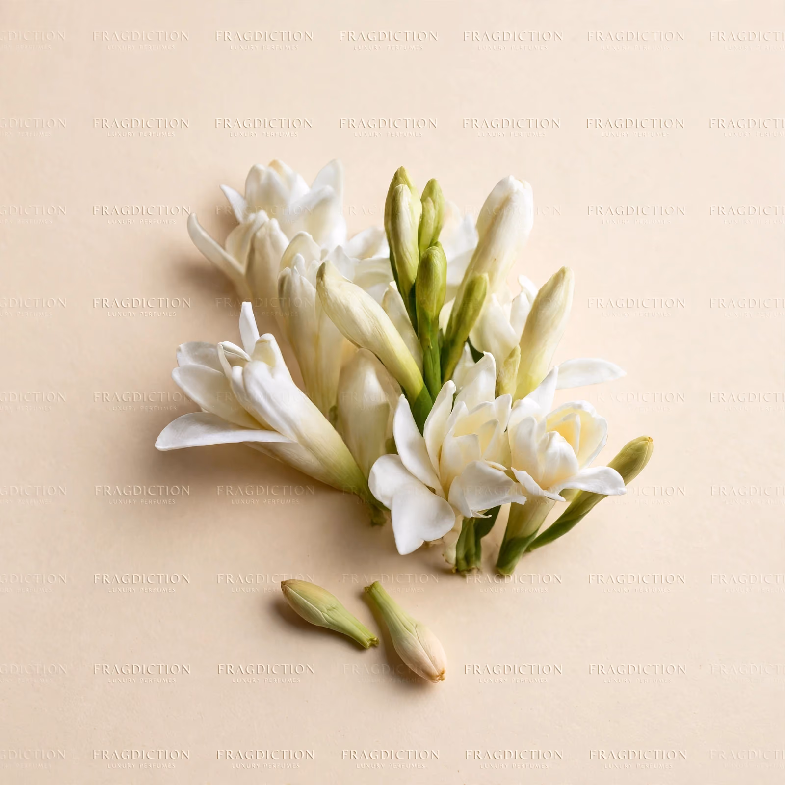 Tuberose