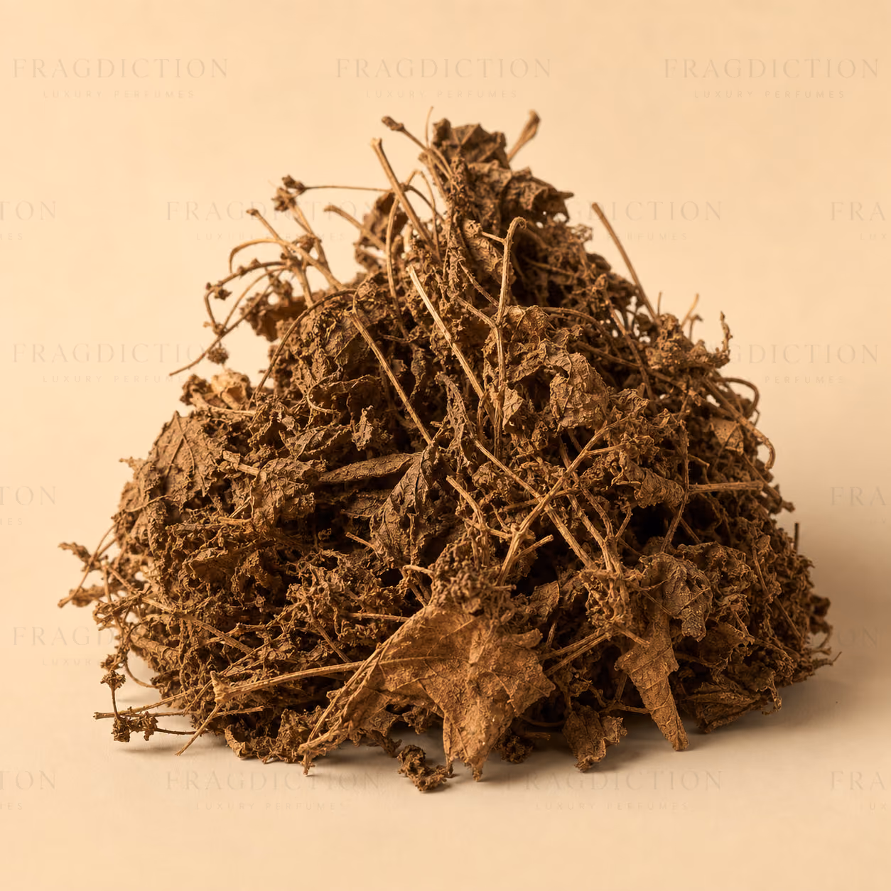 Indian Patchouli