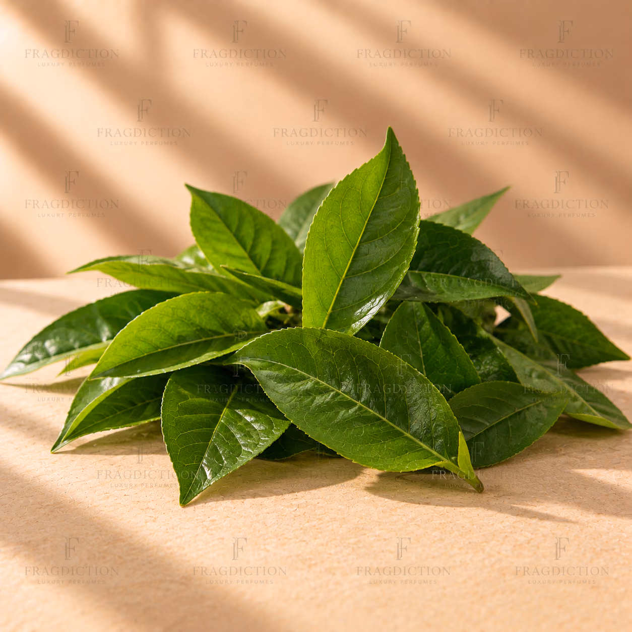 Green leaves
