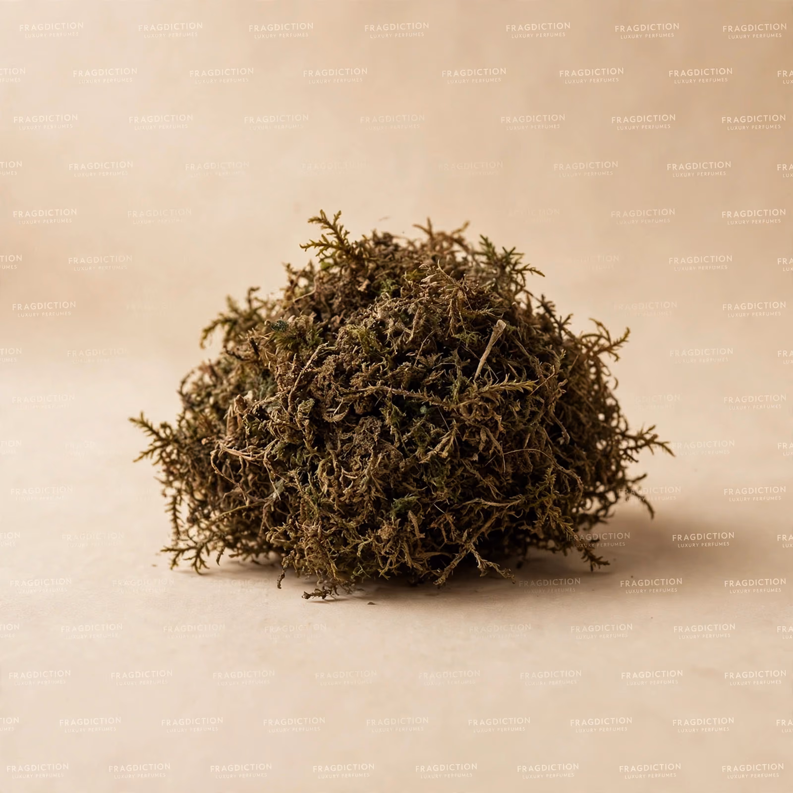 Tree moss
