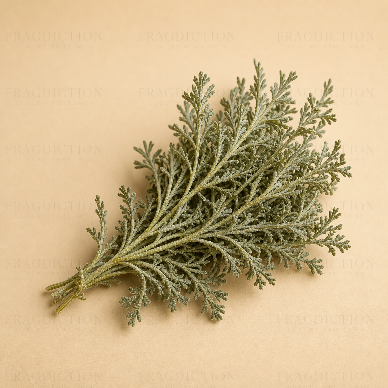 wormwood