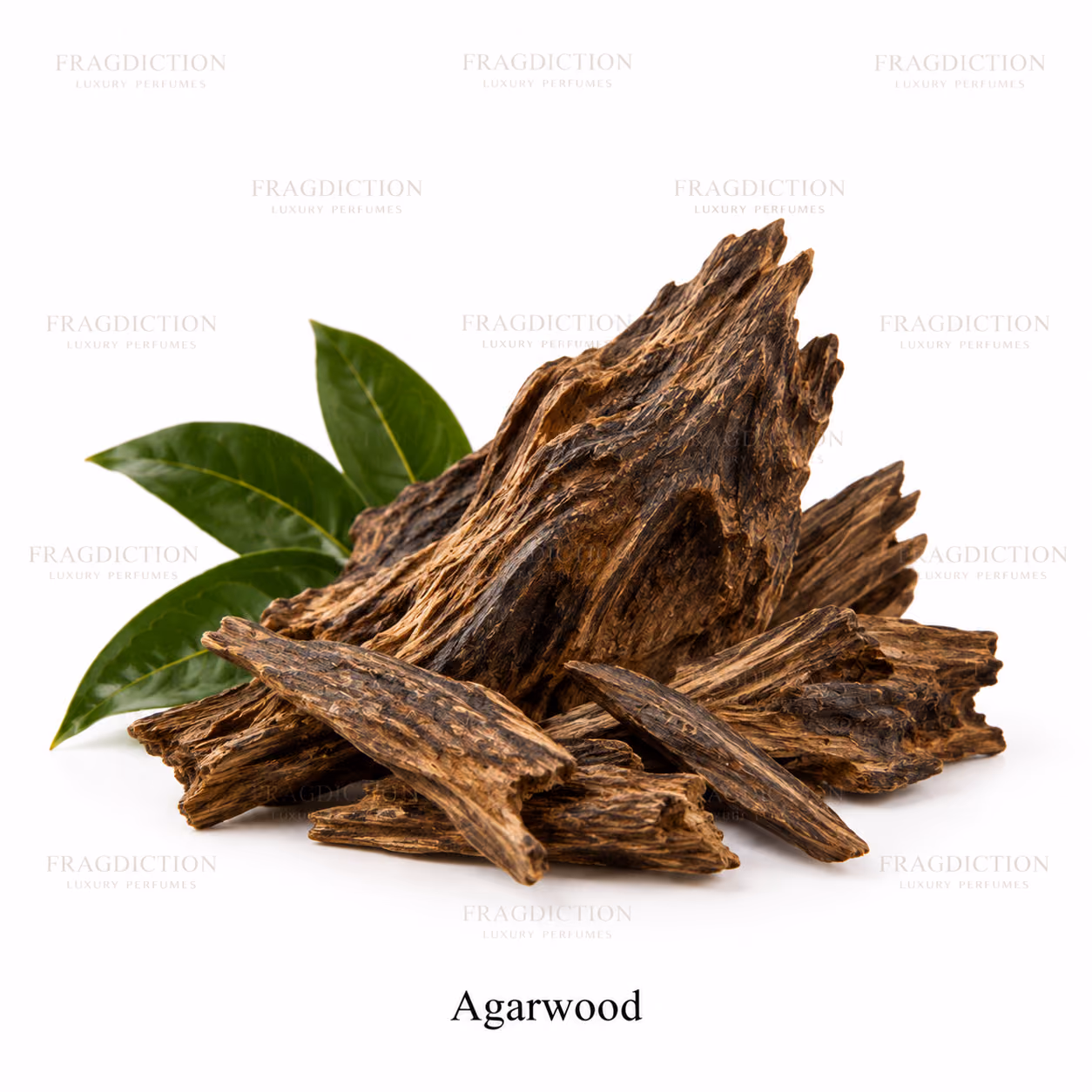 Agarwood
