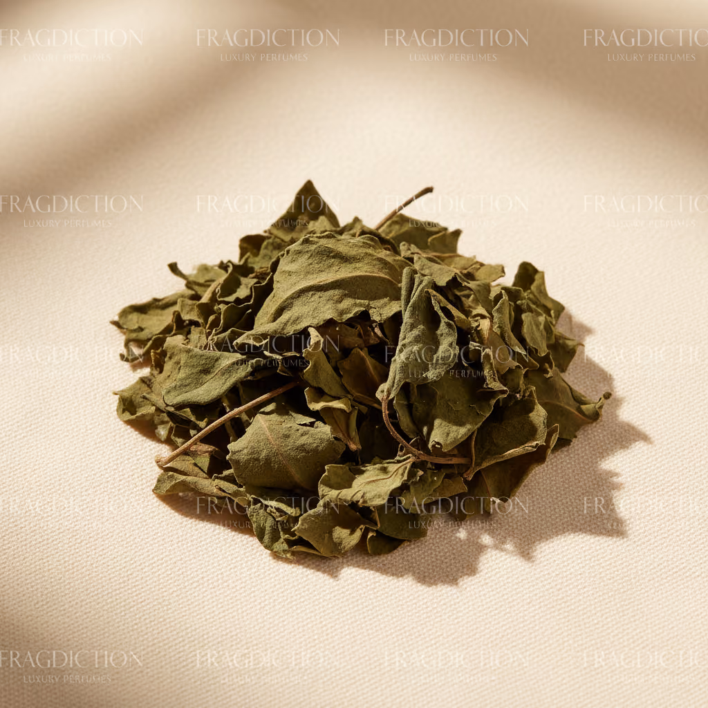Java vetiver
