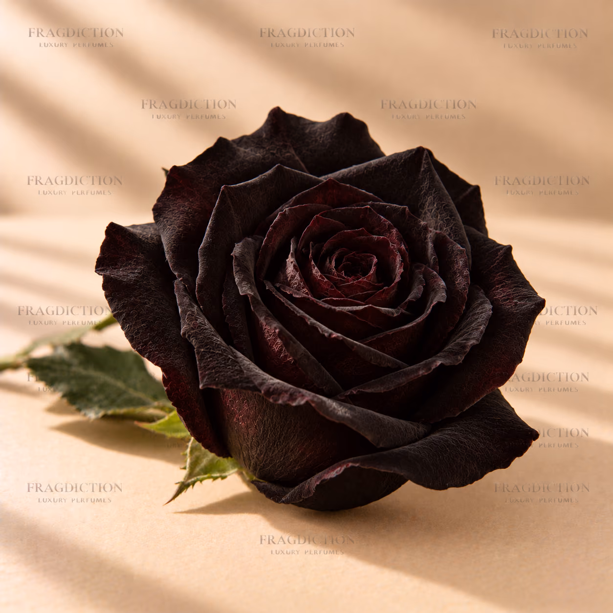 Black rose