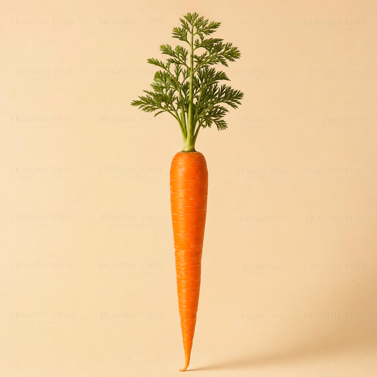 Carrot