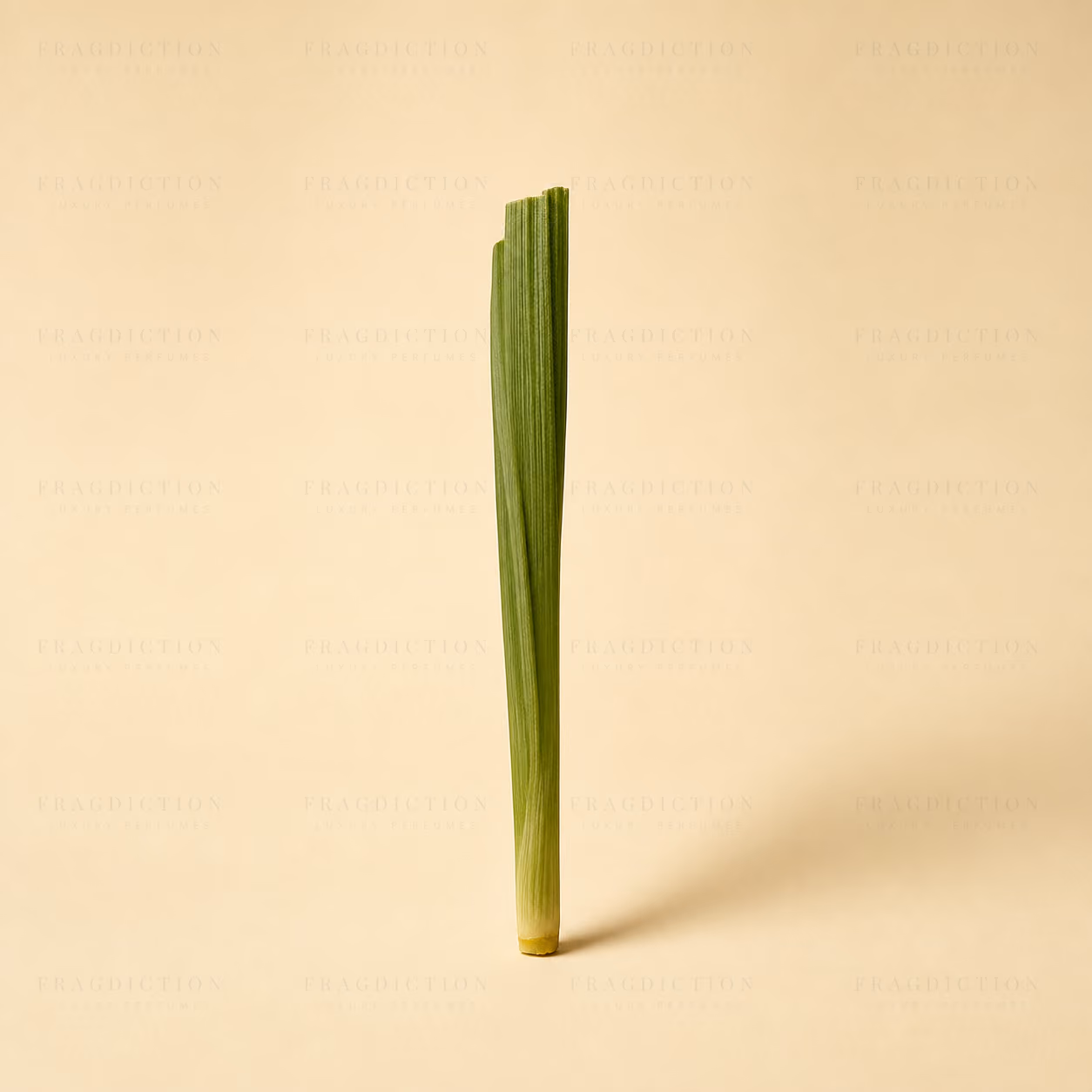 Vetiver leaf