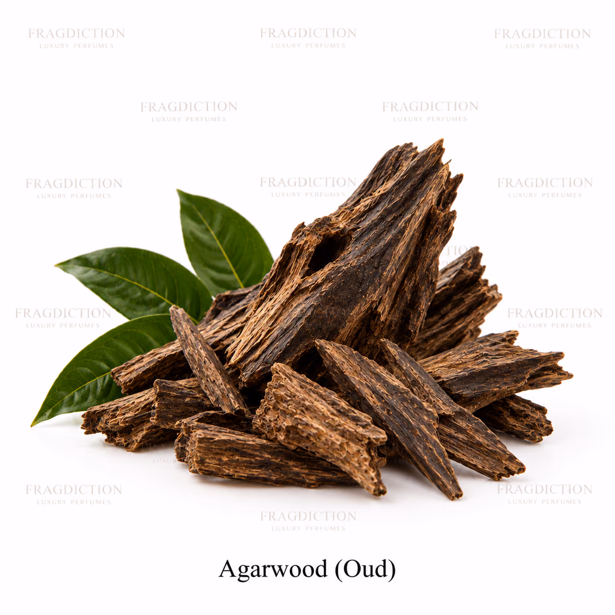 Agarwood (Oud)