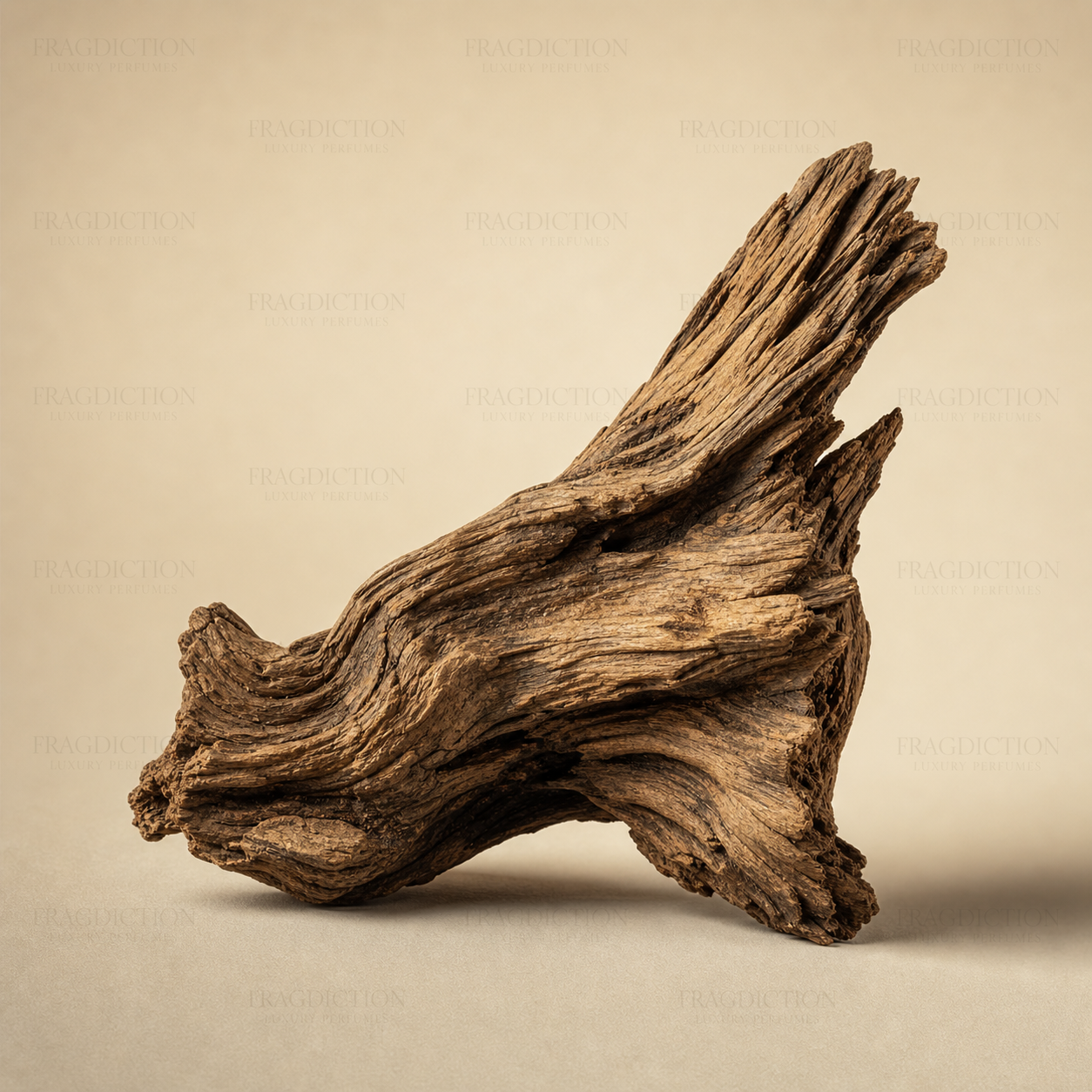 Woodsy Notes