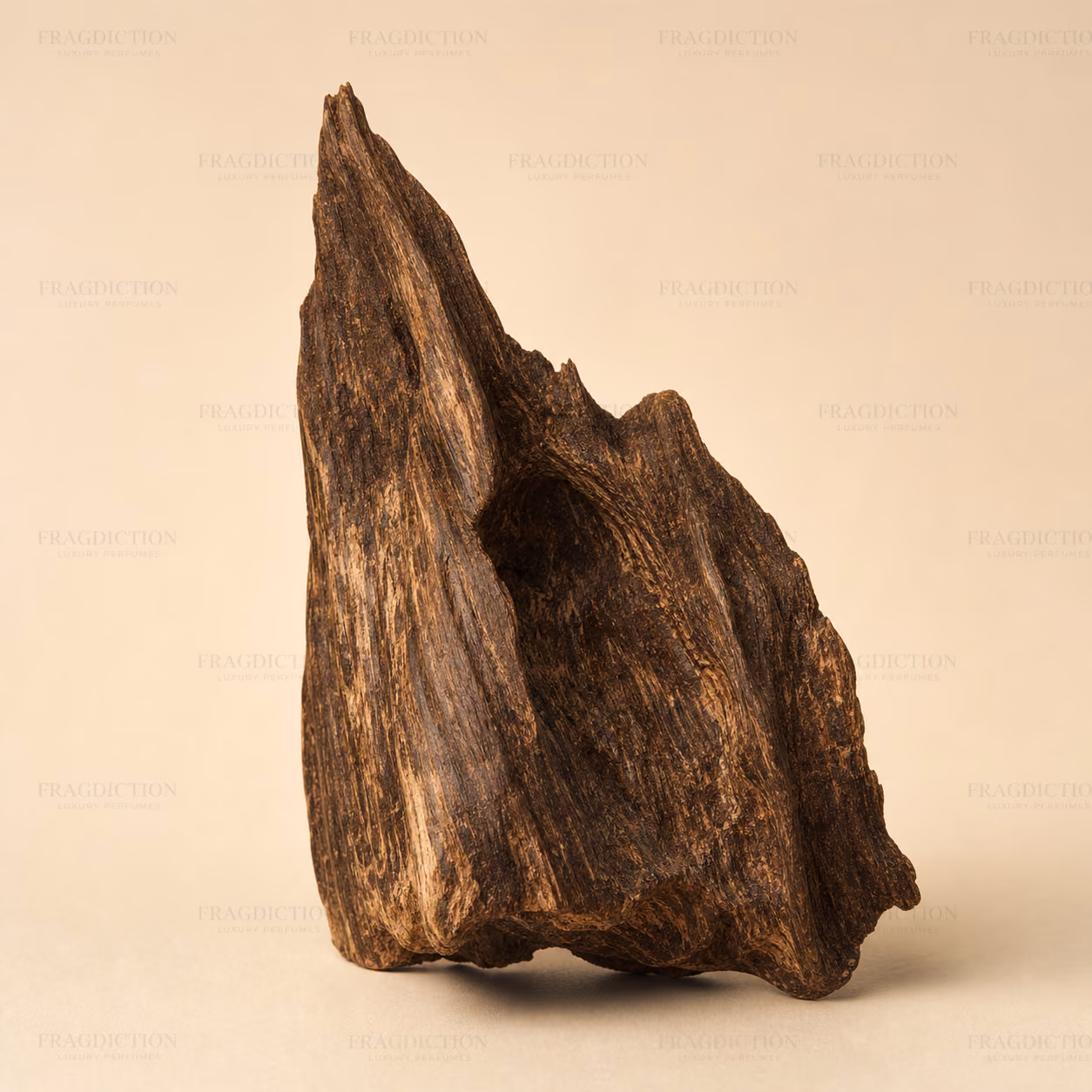 South Indian oud