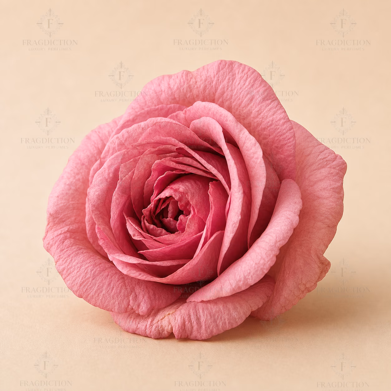 Turkish Rose