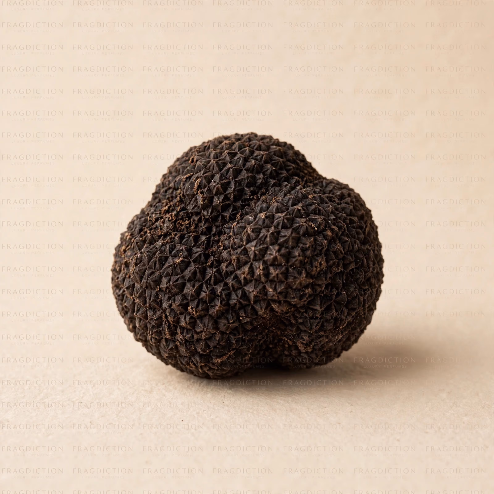 Truffle