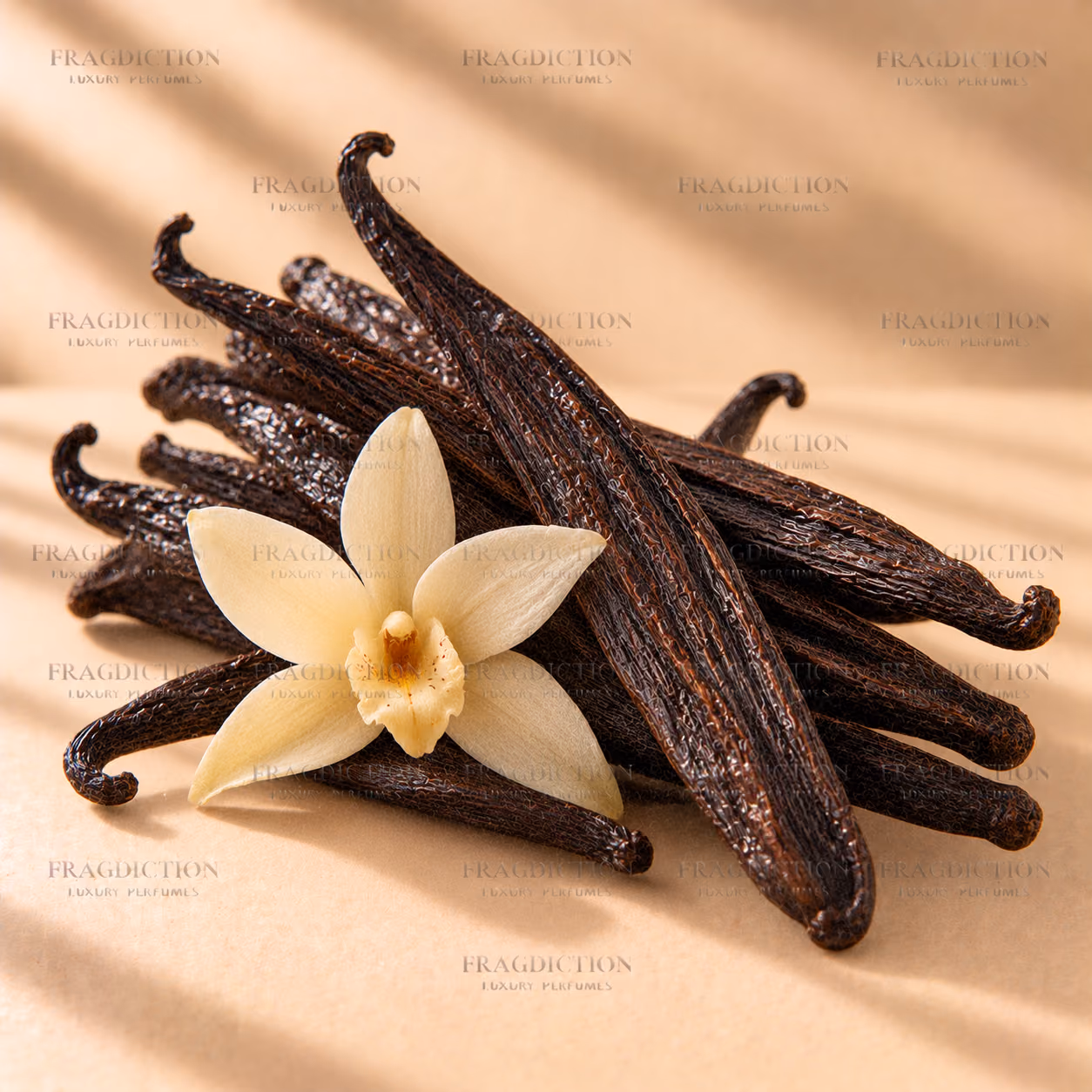 Bourbon Vanilla