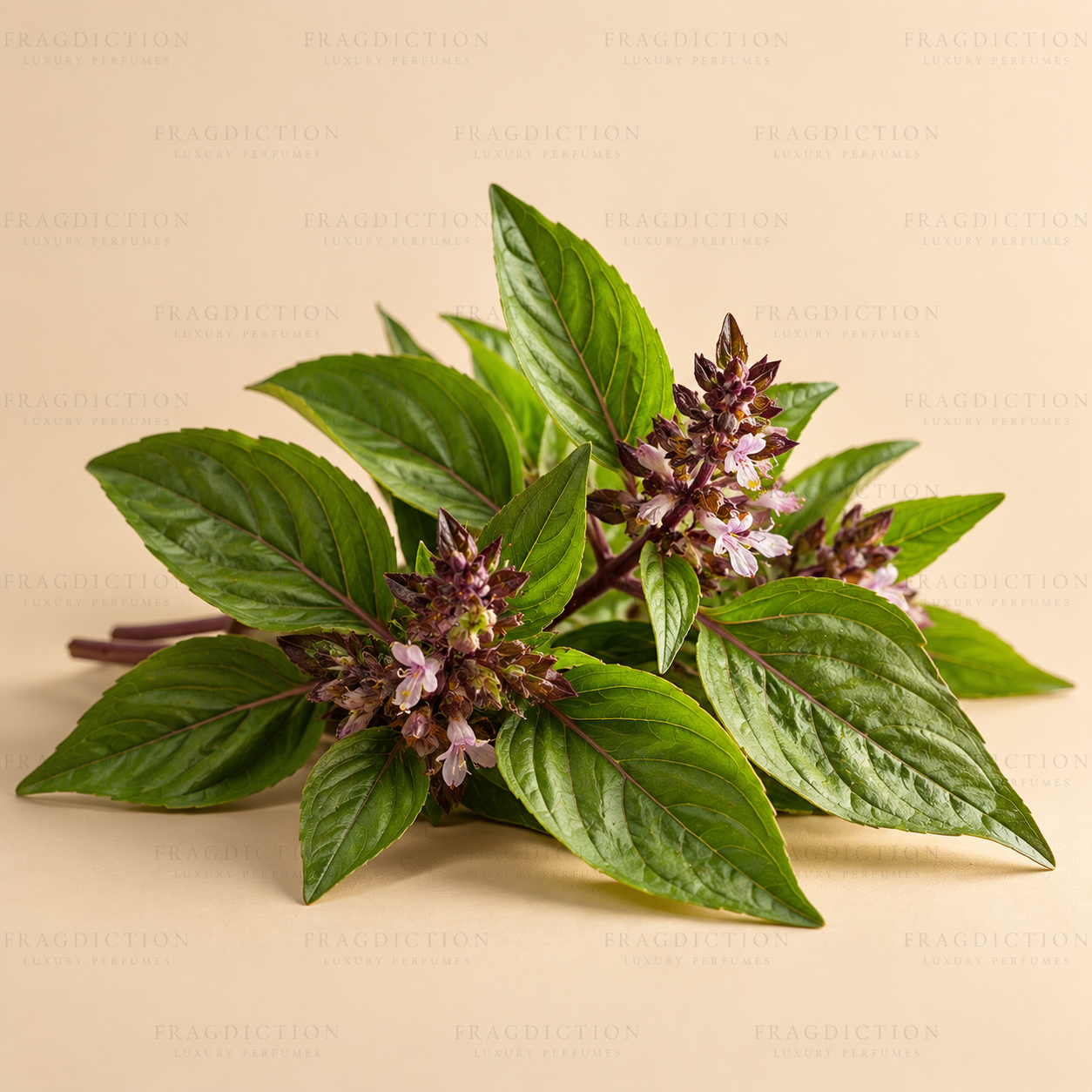 Thai Basil