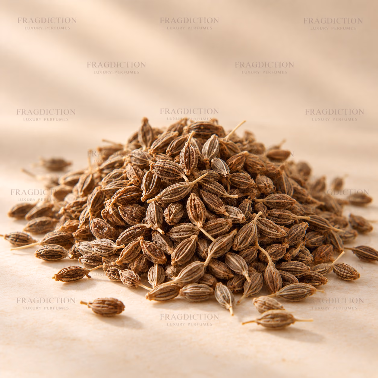 Aniseed
