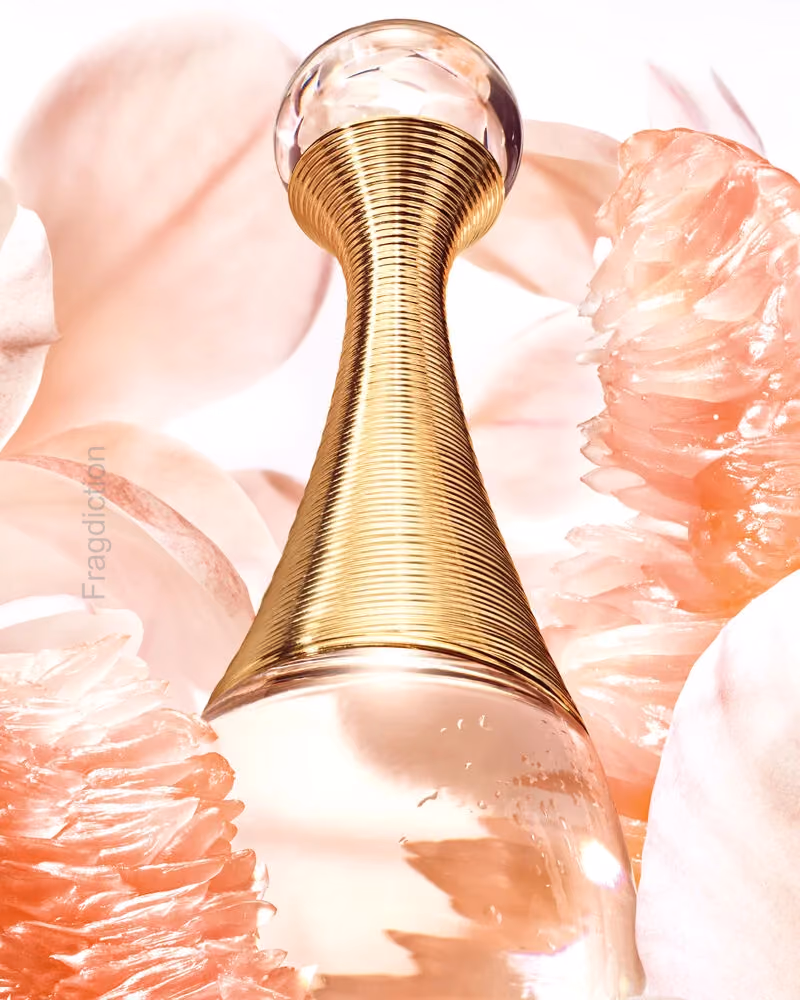 J'Adore Edt 100ml (T)