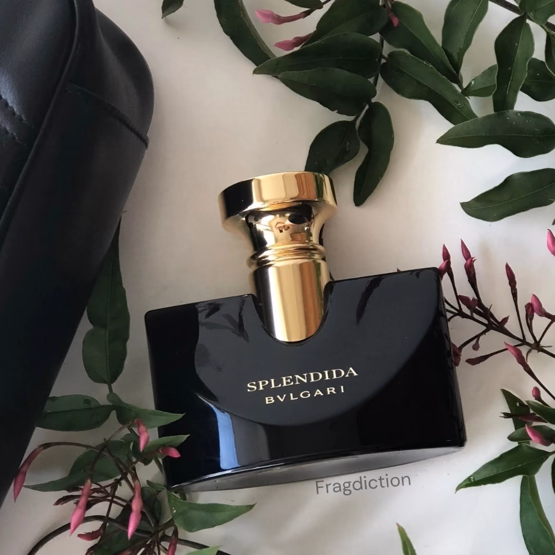 Splendida Jasmin Noir Edp 100ml (T)