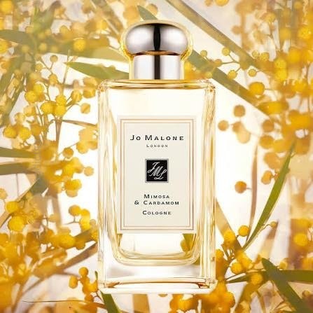 Mimosa & Cardamom Cologne 100ml Retail - No Cellophane
