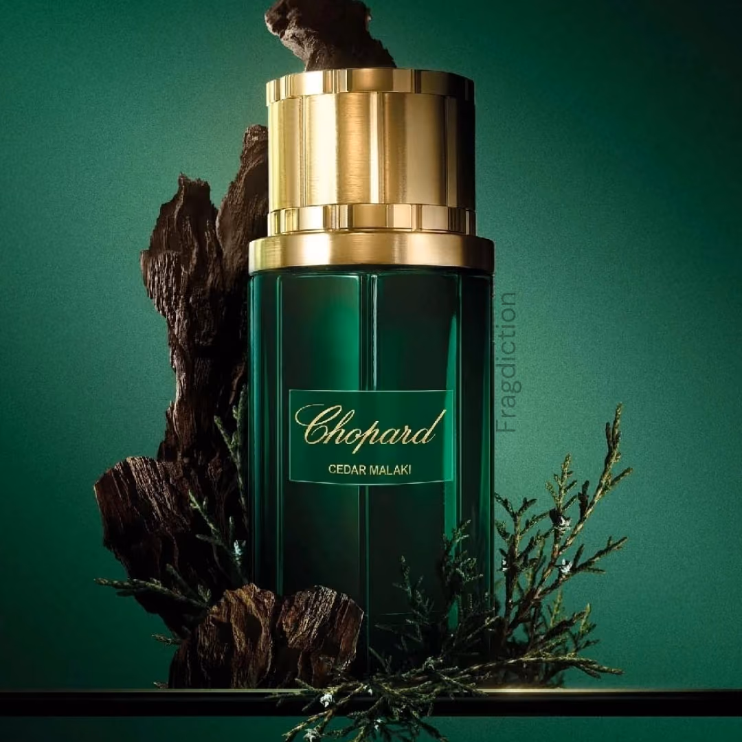 Cedar Malaki Edp 80ml Retail